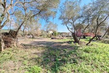 Property 65710 photo 9