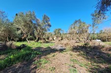 Property 65710 photo 11