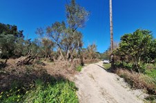 Property 65710 photo 14