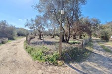 Property 65710 photo 12