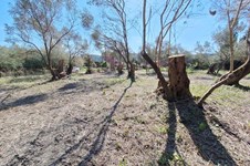 Property 65710 photo 5