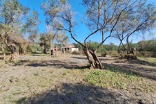 Property 65710 photo 4