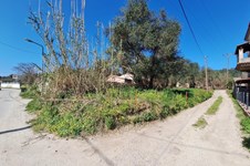 Property 65710 photo 17