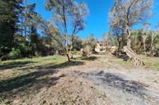 Property 65710 photo 6