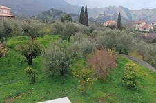 Property 65714 photo 12