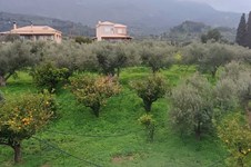 Property 65714 photo 13