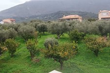 Property 65714 photo 14