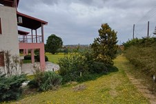 Property 65715 photo 46