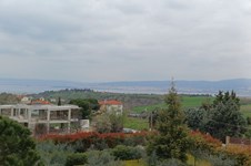 Property 65715 photo 63