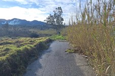 Property 65717 photo 73