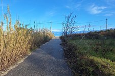 Property 65717 photo 76