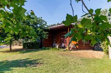 Property 65718 photo 20