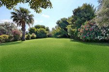 Property 65725 photo 9