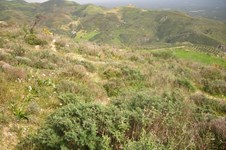 Property 65747 photo 2