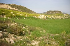 Property 65747 photo 3