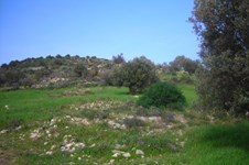 Property 65747 photo 4