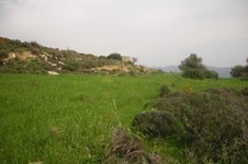 Property 65747 photo 1