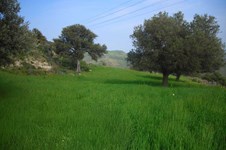 Property 65747 photo 5