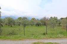 Property 65750 photo 3