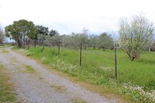 Property 65750 photo 2