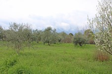 Property 65750 photo 4