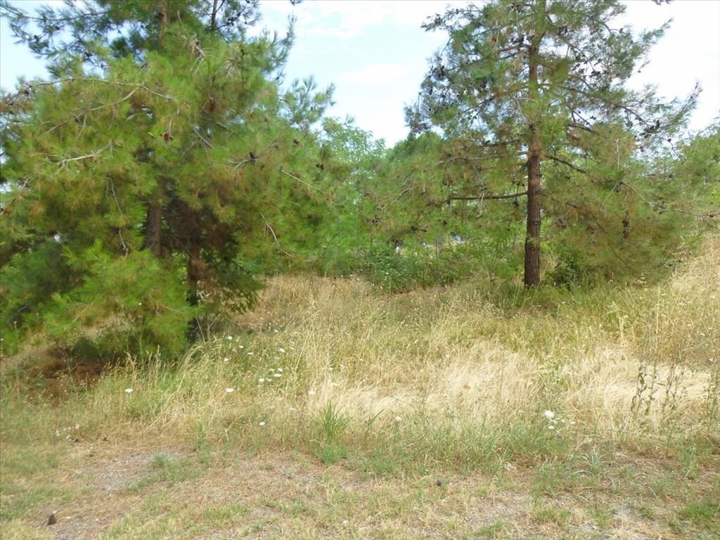 For Sale - Land 272 m² on the Olympic Coast