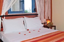 Property 1000 photo 7
