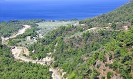 Land 7500 m² on the Euboea island 