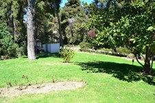 Property 10048 photo 8