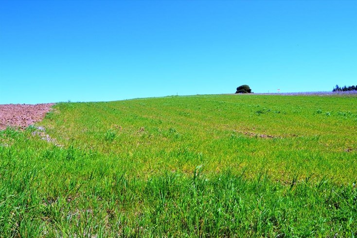 Realty photo 1