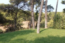 Property 1006 photo 2