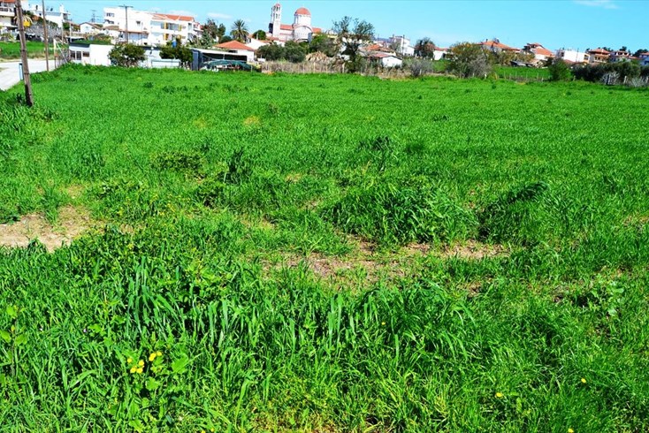 Realty photo 3