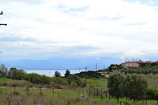 Property 10087 photo 1