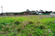 Property 10087 photo 2