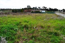 Property 10087 photo 3