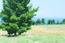 Property 101 photo 1
