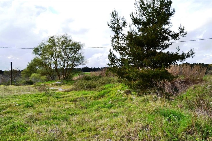 Realty photo 1