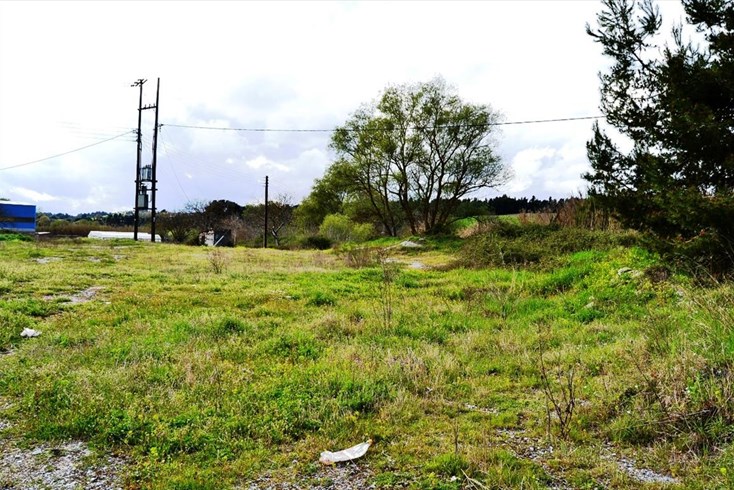 Realty photo 2