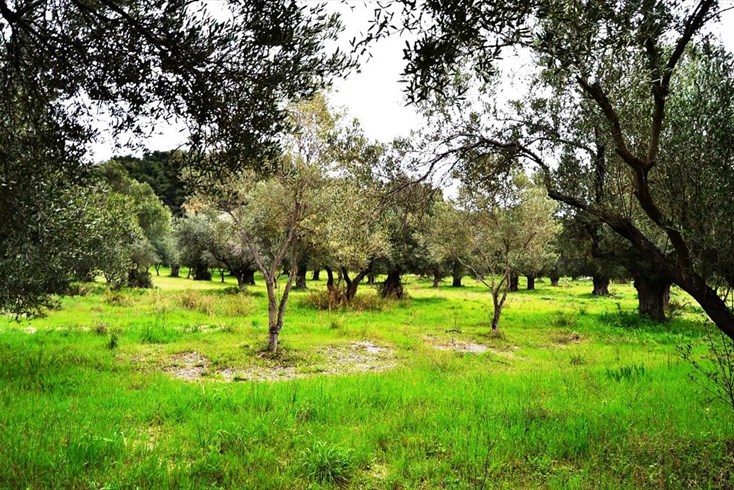 Realty photo 2
