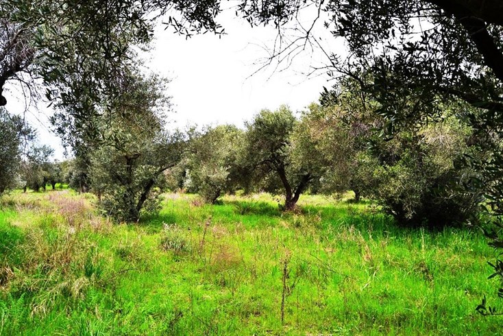Realty photo 3