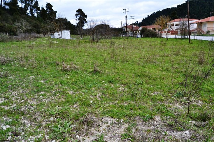 Realty photo 3