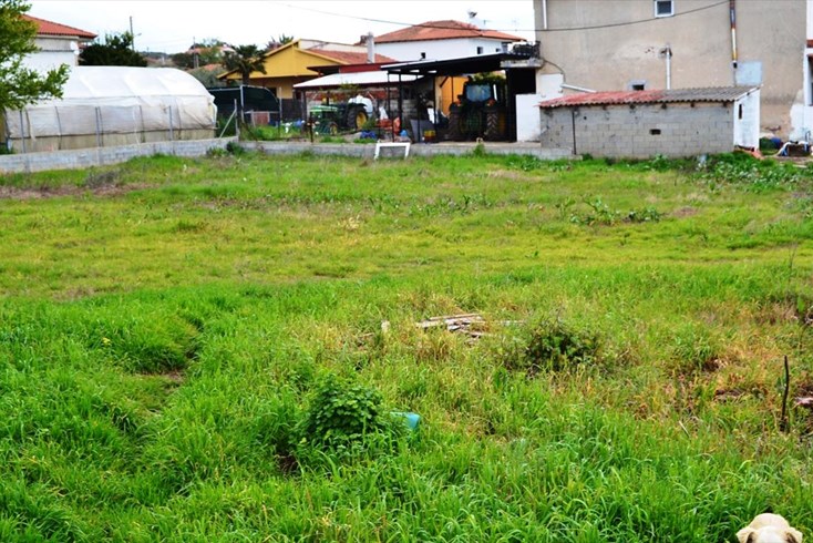 Realty photo 1