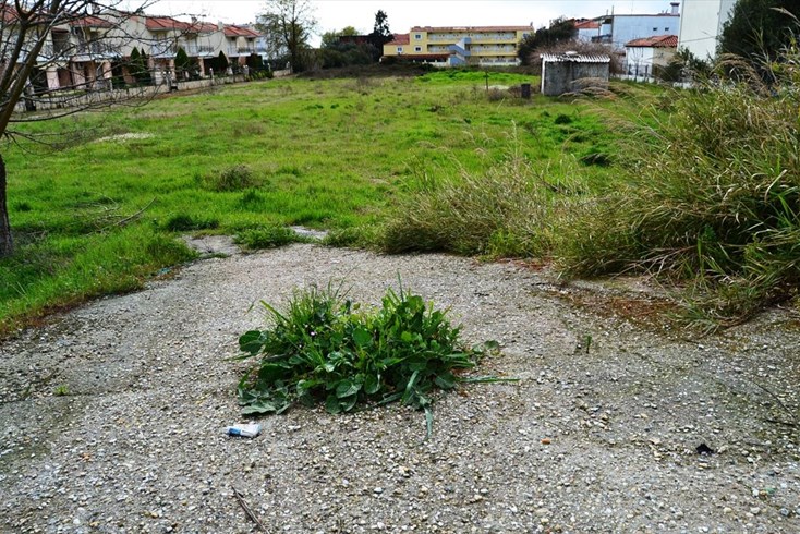Realty photo 3
