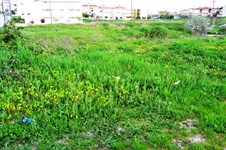 Property 10121 photo 1