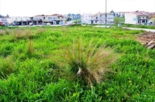 Property 10123 photo 1