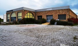 Бизнес 820 m² в Халкидики