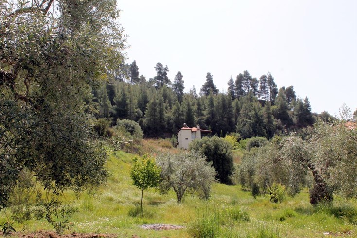 Realty photo 3