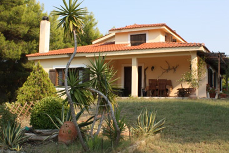Realty photo 1