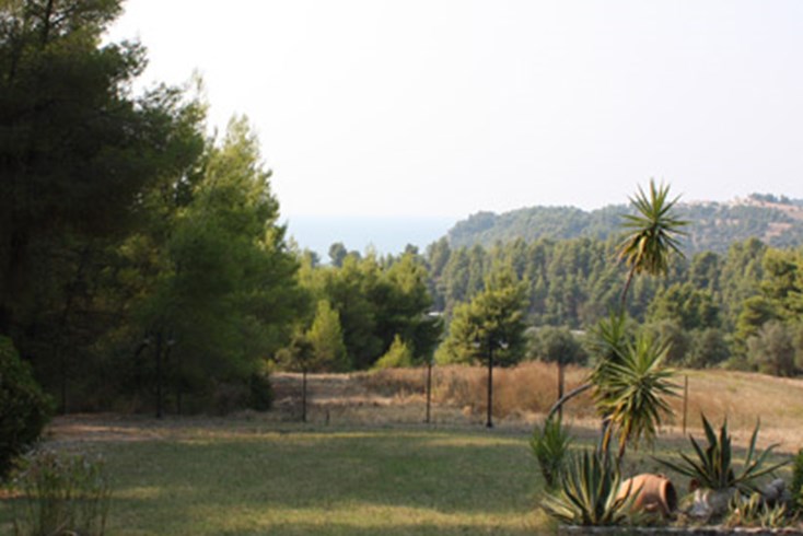 Realty photo 3
