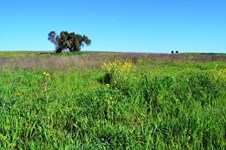 Property 10179 photo 2